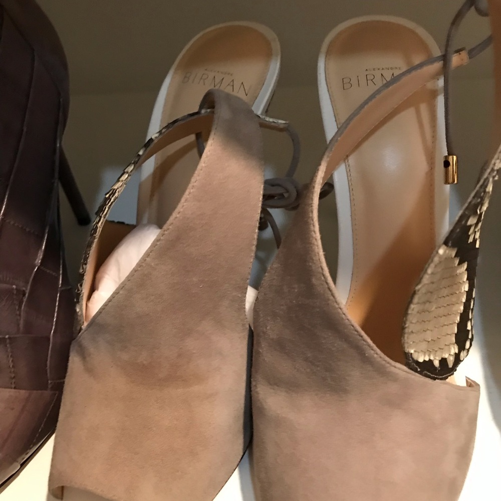 Designer shoe never been worn